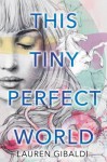 This Tiny Perfect World by Lauren Gibaldi